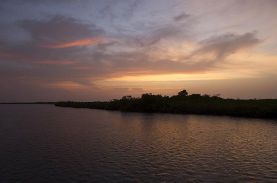 08 - La Mangrove du Saloum