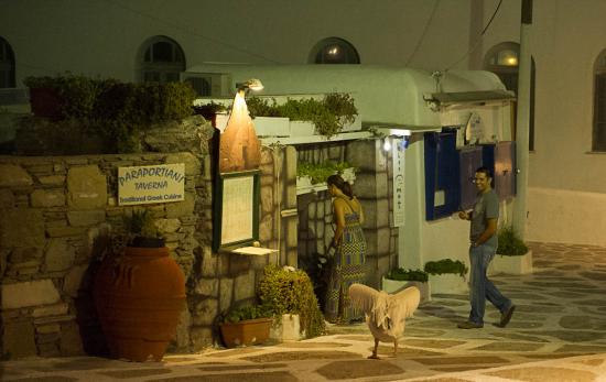 09 - Le fameux Pélican de Mykonos