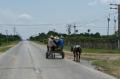 Carriole sur les routes