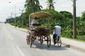 Lorsqu'une charette remorque un cycliste