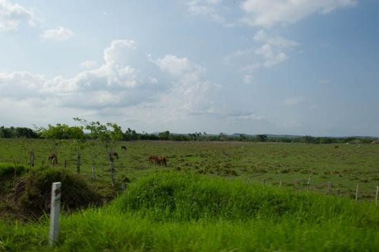 Très verte l'île de Cuba