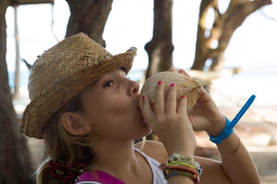 24 - Y a bon noix de coco !