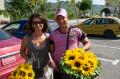 Des tournesols pour la Basilica de la Virgen de la Caridad del Cobre