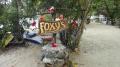 Le Foxy's, bar restaurant mondialementn connu des navigateurs